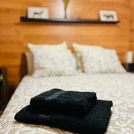 Apartment Nuevo Cosy Loft 4pax *